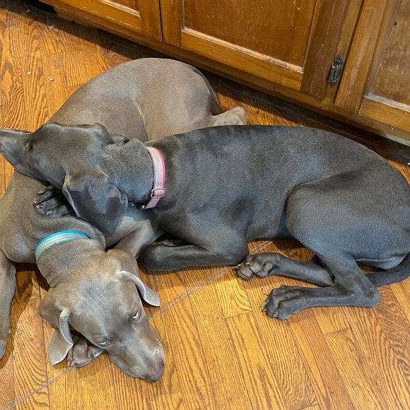 Meet your Buyer/Seller! - Picture 13 of 14